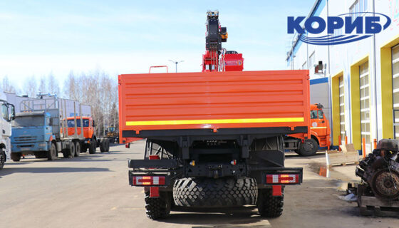 6590-161123-48 Сзади